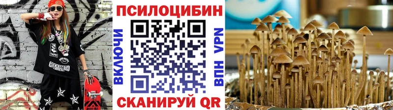 Галлюциногенные грибы GOLDEN TEACHER  darknet официальный сайт  Зерноград 