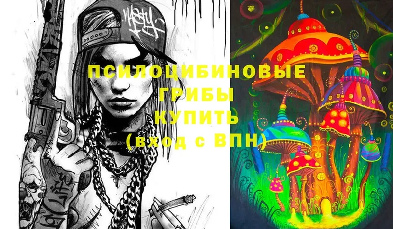 Галлюциногенные грибы Psilocybine cubensis  Зерноград 