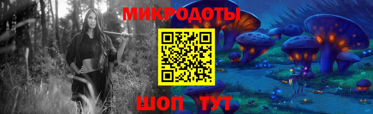 Галлюциногенные грибы Psilocybe Зерноград