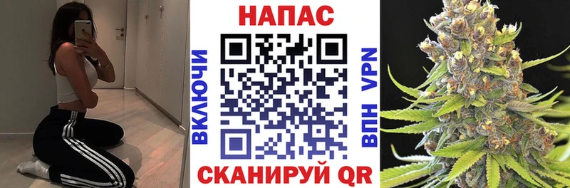 купить закладку Зерноград Бошки Шишки ГИДРОПОН